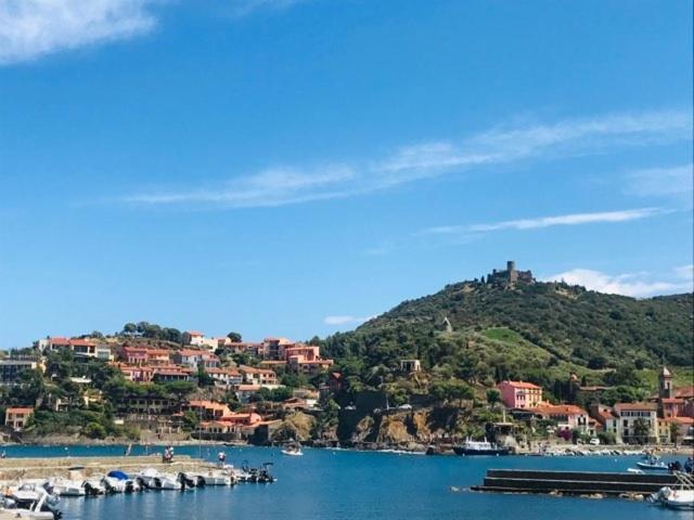 Villa Confort Et Cosy 20 Minutes D'Espagne Plage dʼArgelès Kültér fotó