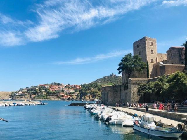 Villa Confort Et Cosy 20 Minutes D'Espagne Plage dʼArgelès Kültér fotó